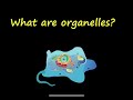 Cell Structure and Function Concepts