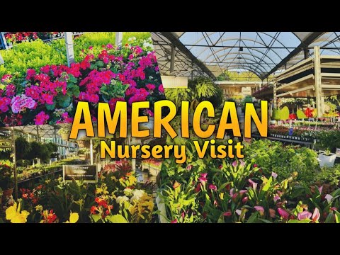 America Travel Vlog Part 1: Discovering a Nursery in Atlanta