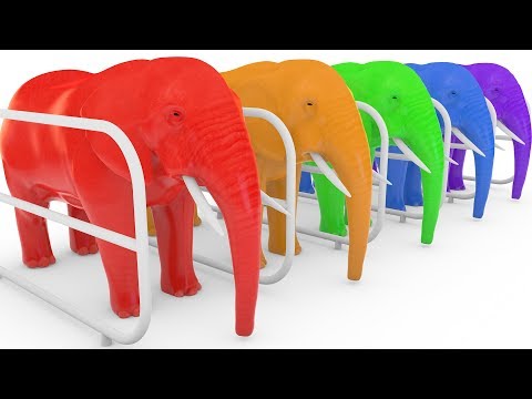 Impara i Colori con animali filastrocche canzoni per bambini #81