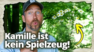 UNGLAUBLICH, was Kamille mit deinem Gehirn macht!