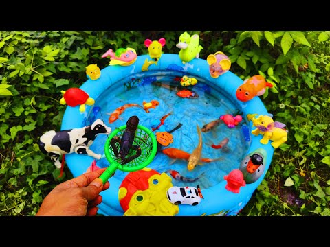 Fishing for colorful ornamental fish, goldfish, lobsters, turtles, cows, ducks, geese, cute animals