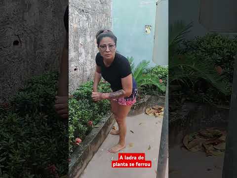 #humor agora eu quero ver se livrar do bichinho de estimação da vizinha