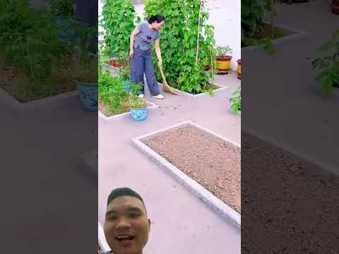 Vườn Rau Đẹp Cho Nhà Sân Vườn #nhadep