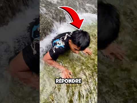 Ils ne se quitteront jamais !