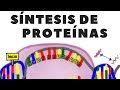 Conceptos Clave de Biología Molecular