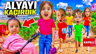 HİLALİN KARDEŞİ KAÇIRILDI ‼️ KUZEY ELİF ŞEHİRDE BULMA OPERASYONU !! BABASINA KIŞKIRTMA !!