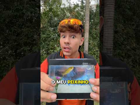 Meu peixe saber voar!? #shorts