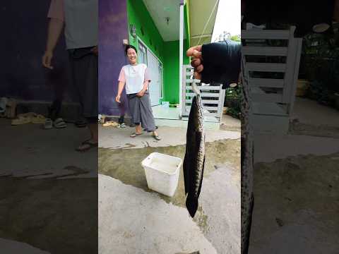 Berbagi takkan mengurangi rejekimu #mancingpakaiparadise #casting #aditangler