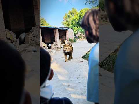 God Always Protect Baby 😱 #shorts #youtubeshorts #funborecomedy #funborebhakti