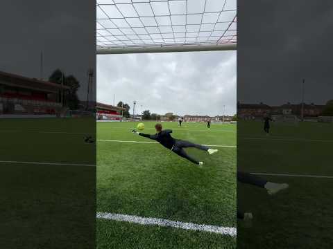 POV Saves 👏🔥