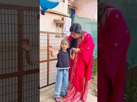 Tooktook ko khai nhi jana chahiye tha kha milegi?