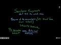 Exploring Sentence Fragments and Run-ons