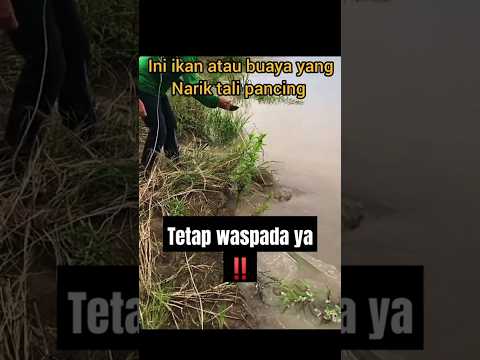 Buaya kah atau ikan?