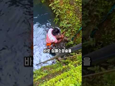 "깊은 우물 속 기적… 단 한 사람의 손끝에서 시작됐다 🦌"