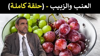 🔹 العنب 🍇 أقوى مضاد أكسدة طبيعي لجسمك! 🛡️ د. محمد الفايد #برنامج_نخل_ورمان 🌴