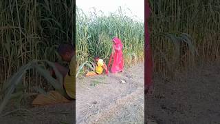 तेरे साथ क्या करूं #shortvideo #shorts #shortsfeed #Suman Bhauji