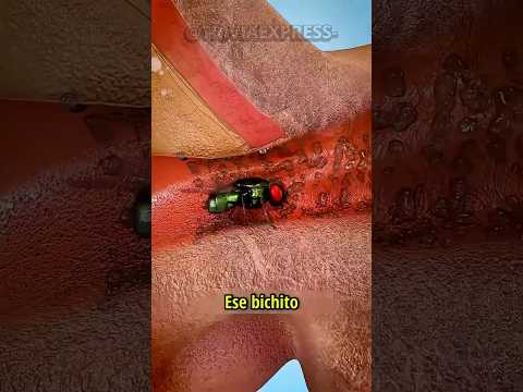 Lo que puede pasarte si tienes un mal día… y muy, muy mala suerte