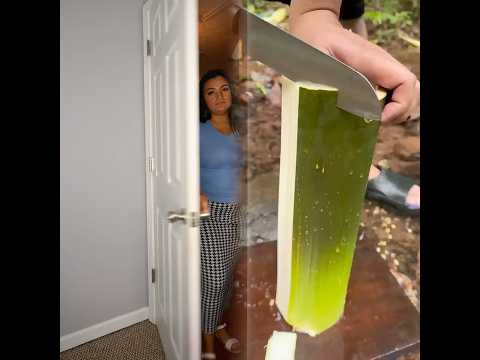 1_ESTAS CASTIGADO 😅 #dannyfitt #megusta #parati