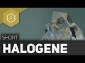 halogene-7-hauptgruppe/