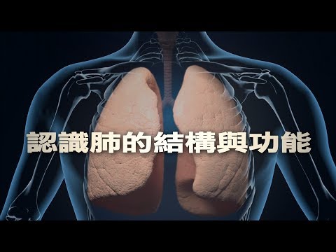 【科普教育】認識肺的結構與功能(國語) - YouTube