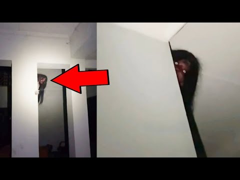 САМОЕ ДОЛГОЕ СТРАШНОЕ ВИДЕО!