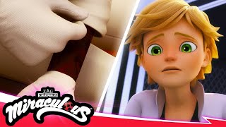 MIRACULOUS | Bahasa Indonesia 🇮🇩 |🐞 INTUISI – Hari-hari terakhir kehidupan Gabriel 🐾| Musim 5 Ep. 15