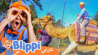 بلِّبي يركب جمل | لنزر حديقة الحيوان | برنامج بليبي التعليمي | Blippi - بليبي بالعربي