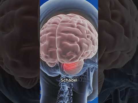 Warum ein Helm von 1916 moderne Helme bei Explosionen schlägt 🪖💀