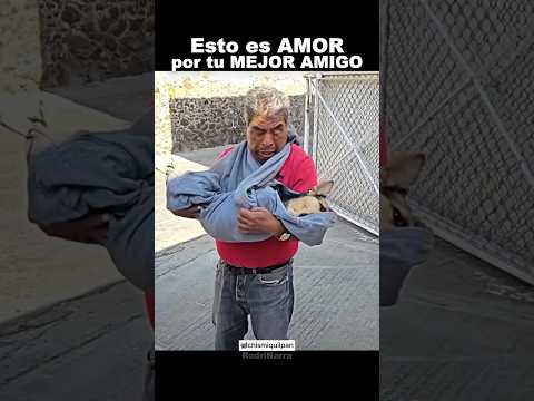 el AMOR de este hombre por su perrito💔
