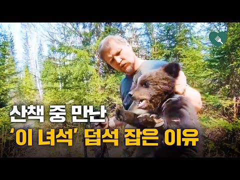 산책 중 만난 새끼곰 뭔가 이상해 보여...