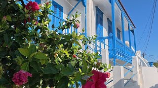 ΟΙ ΕΞΩΘΥΡΕΣ, ΤΑ ΠΑΡΑΘΥΡΙΑ ΚΑΙ ΤΑ ΚΑΤΕΛΗΜΜΑΤΑ ΤΗΣ ΚΑΣΟΥ ΕΧΟΥΝ ΤΗ ΔΙΚΗ ΤΟΥΣ ΙΣΤΟΡΙΑ!