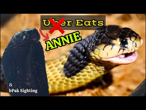 Annie Eats