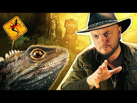 L'HISTOIRE DU LÉZARD QUI N'ÉTAIT PAS UN LÉZARD ! - le Tuatara
