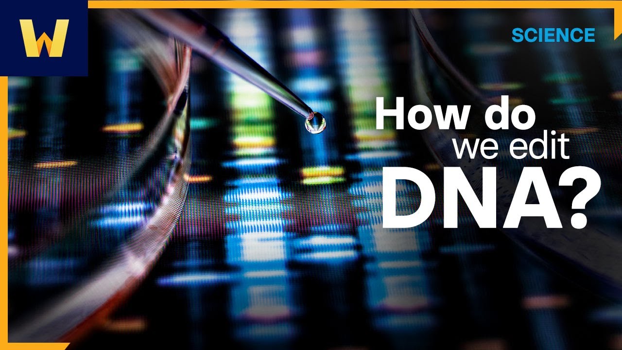How do we edit DNA