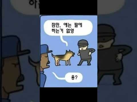 많은 경찰견이 탈락하는 의외의 이유