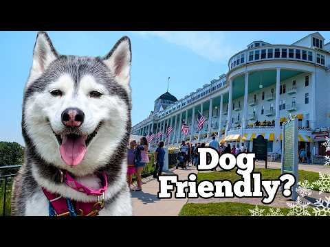 We Took Our Dogs to Mackinac Island! They Rode a FERRY!