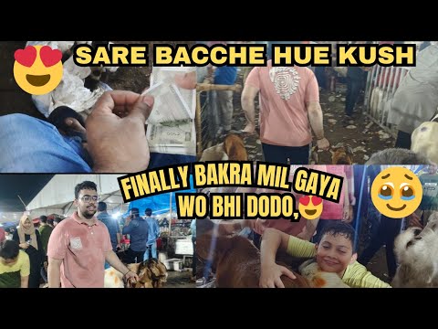 Do Do Bakre Le Aaye Ghar pe Sari Mehnat Hue Wasul 🐐| Mohammad & MehdiRaza | Harkati |