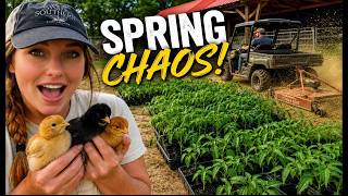 Our Farm is EXPLODING with Life Right Now - 80+ Plants, Baby Meat Chicks, Broken Bush hog Fixed!