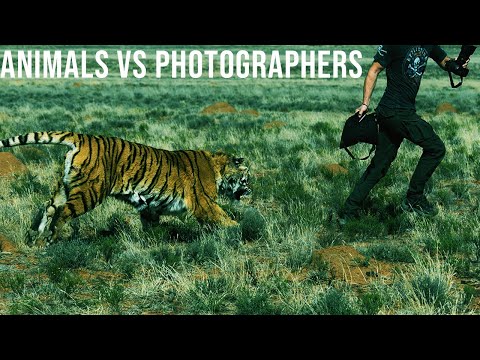 They Thought It Was Safe to Take the Shot! But Nature Had Other Plans!