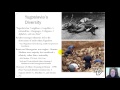 Ethnic Conflict and Cleansing