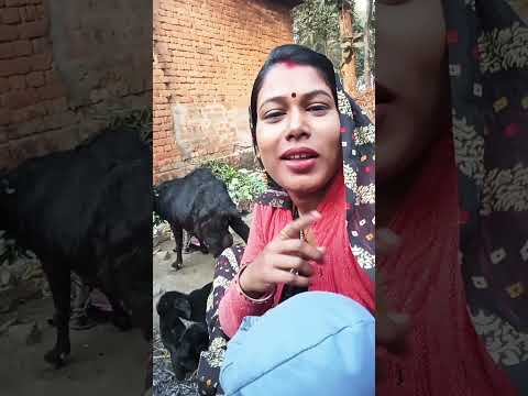 bus Ek Tamanna Puri kar do meri