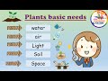 Plant Growth and Needs Assessment