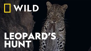The Leopard’s Hunt | Hostile Waters | National Geographic WILD UK