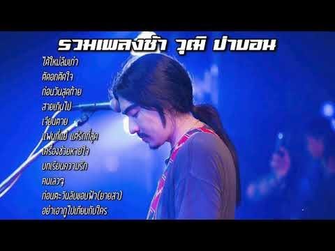 รวมเพลงช้าวุฒิ ป่าบอน ฟังสบายยาวๆ