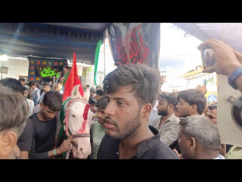 Joloos E Aza Bayad e Aseeran e Karbala | 28 Muharram 2024 Gaura Mohammadpur | Azadari Roshan Garha