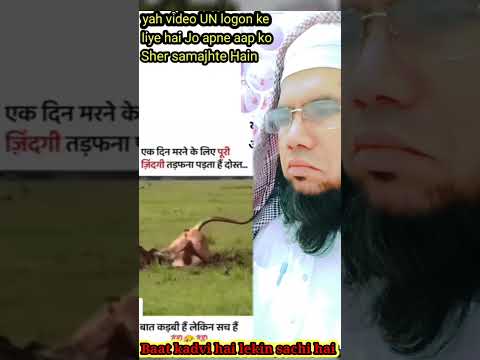 Kisi ko apni takat par ghamand nahi karna chahiye Qari Irfan mewati official  @qariirfansahab7646