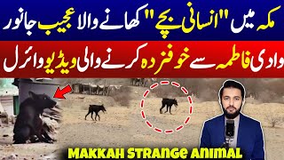 Makkah Strange Animal in Streets Video Gone Viral | Saudi Social Media Discussion - KSA