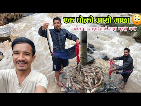 Fishing🐋 in Himalayan River of Nepal ! Traditional Fishing style ||  fishing vlog 2081