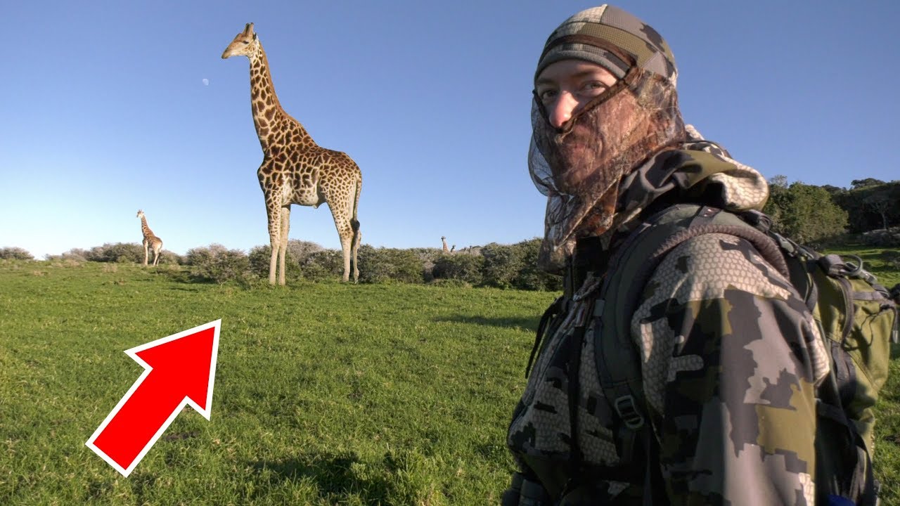 First Time Hunting Africa - SURPRISE GIRAFFE ENCOUNTER!
