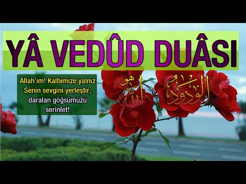 Yâ Vedud Duası- Allah kalbimize sevgini yerleştirsin, göğsümüzü serinletsin!